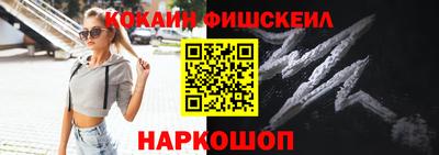 крисы Абакан