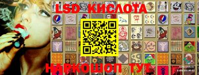 крисы Абакан