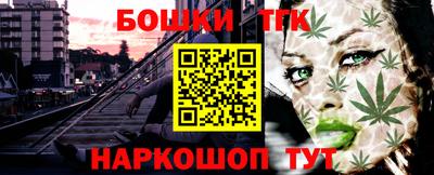 крисы Абакан