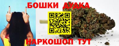 крисы Абакан