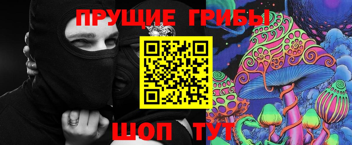Псилоцибиновые грибы Psilocybe Алейск